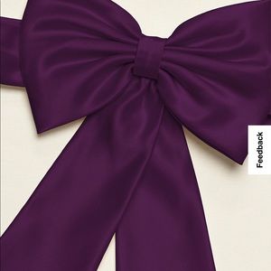 GORGEOUS DAVID BRIDAL PLUM SASH